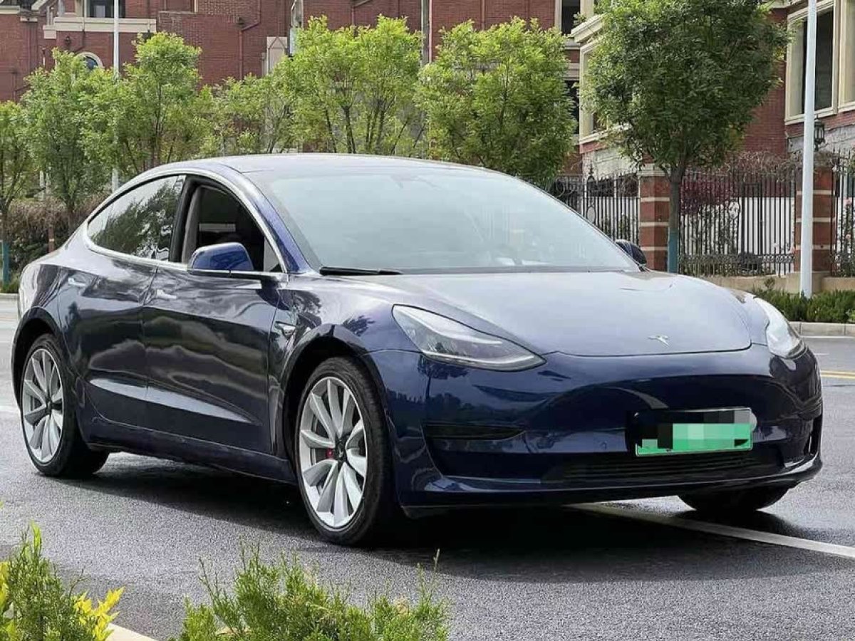 特斯拉 Model 3  2019款 標(biāo)準(zhǔn)續(xù)航后驅(qū)升級(jí)版圖片
