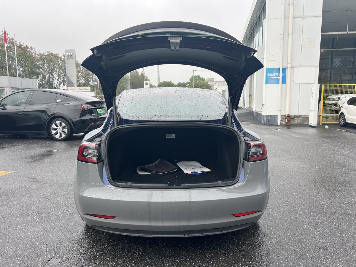 特斯拉 Model 3  2019款 Performance高性能全輪驅(qū)動版圖片