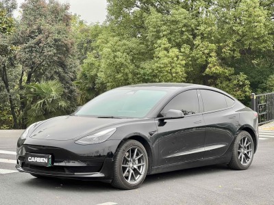 特斯拉 Model 3 标准续航后驱升级版 3D6图片