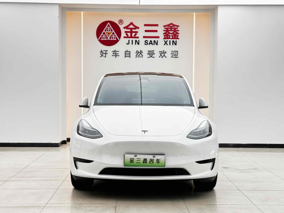 特斯拉 Model Y  2020款 改款 長(zhǎng)續(xù)航后輪驅(qū)動(dòng)版圖片