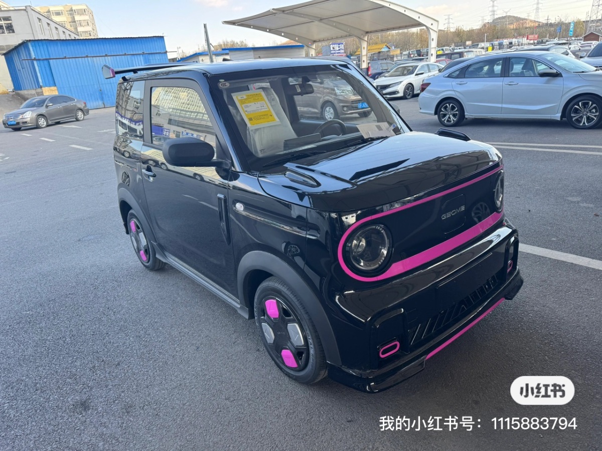 吉利 熊貓mini  2024款 200km 熊貓騎士圖片