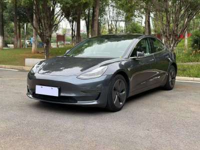 2020年10月 特斯拉 Model 3 长续航后驱版图片