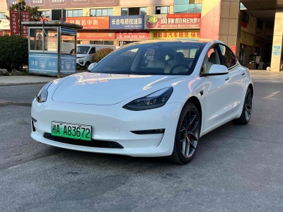 2022年10月 特斯拉 Model 3 Performance高性能全輪驅(qū)動(dòng)版圖片