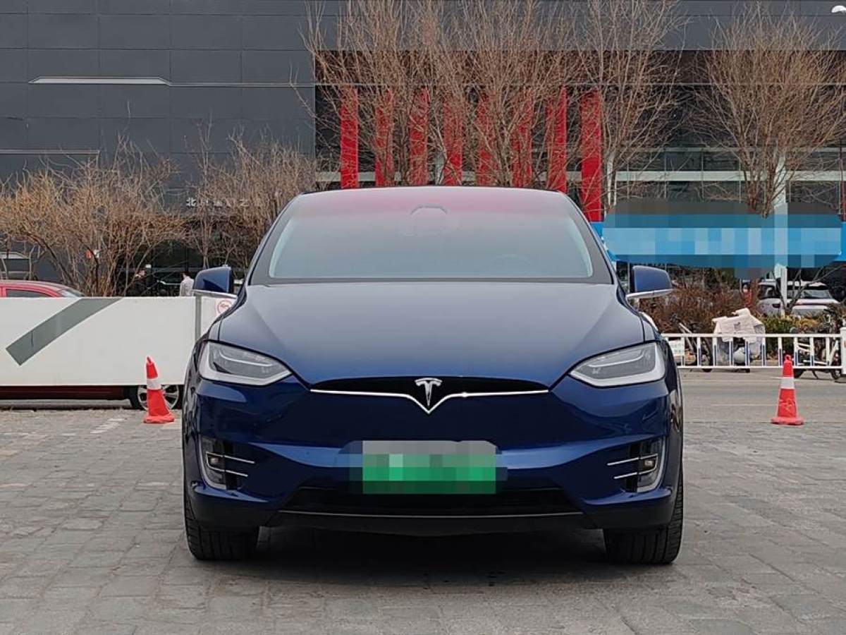 特斯拉 Model X  2017款 Model X 100D 長(zhǎng)續(xù)航版圖片