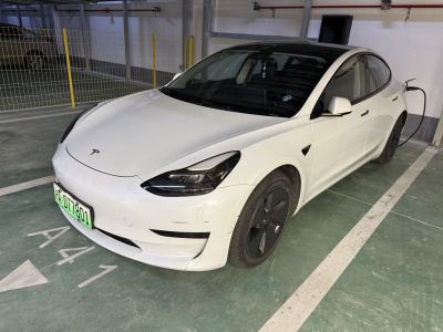 2021年4月 特斯拉 Model 3 標(biāo)準(zhǔn)續(xù)航后驅(qū)升級版 3D6圖片