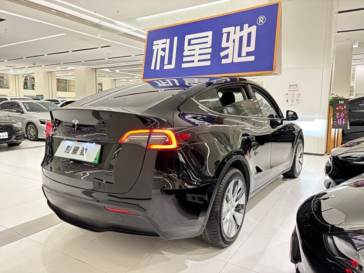 特斯拉 Model Y  2020款 改款 長續(xù)航后輪驅(qū)動(dòng)版圖片