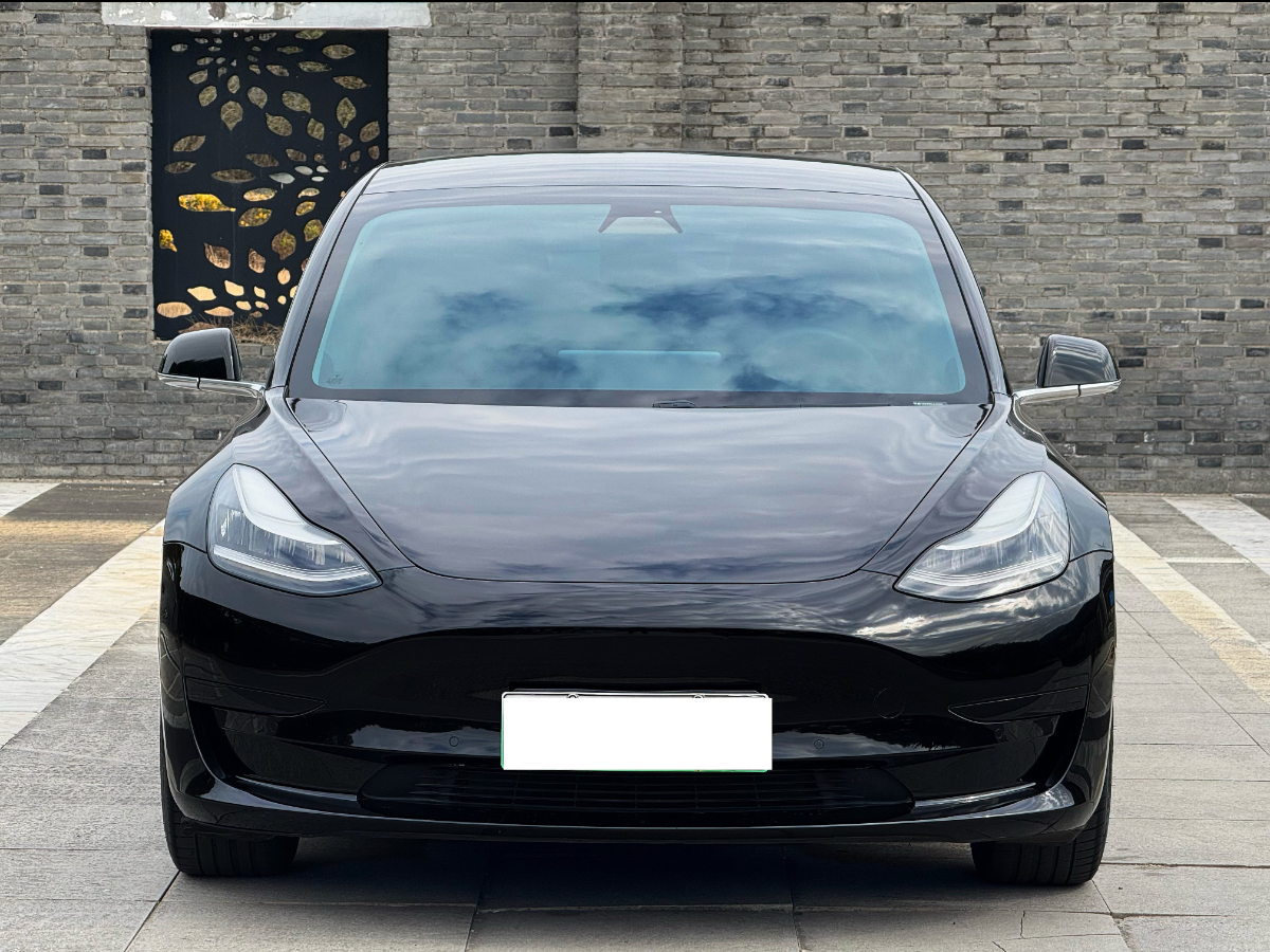 特斯拉 Model 3  2019款 標準續(xù)航后驅升級版圖片