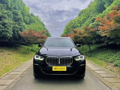 2019年9月 宝马 宝马X5(进口) xDrive40i 尊享型 M运动套装图片