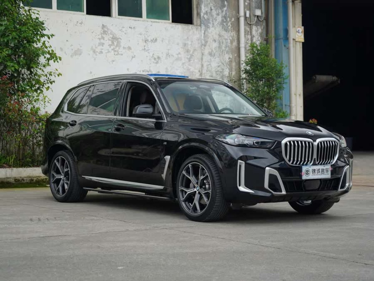 寶馬 寶馬X5  2023款 xDrive 30Li 尊享型M運(yùn)動套裝圖片