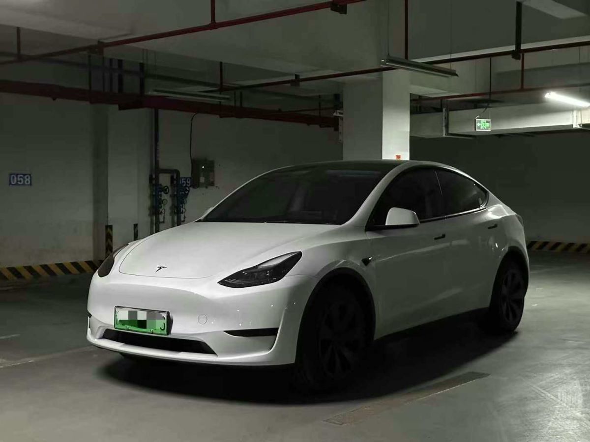 特斯拉 Model Y  2024款 Performance高性能版圖片