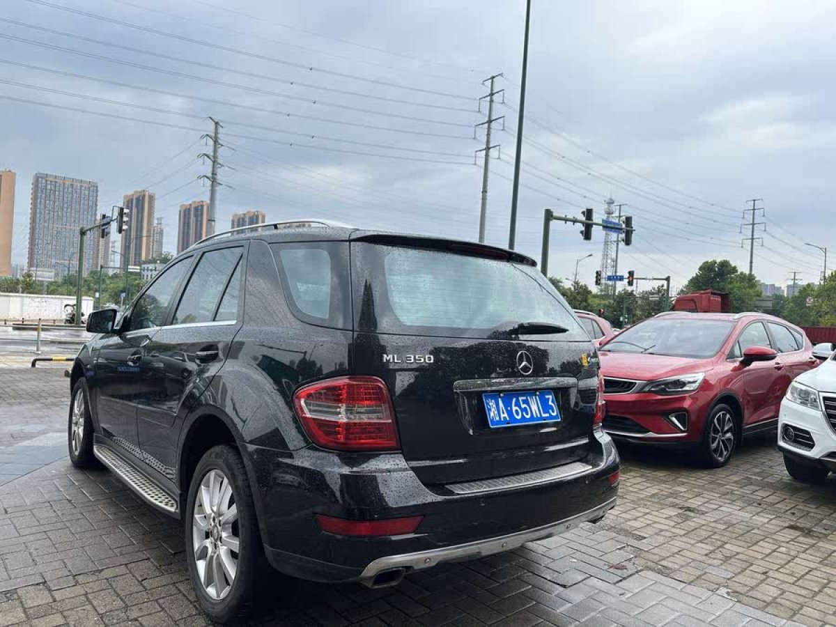 奔馳 奔馳M級  2010款 ML 350 4MATIC豪華型特別版圖片