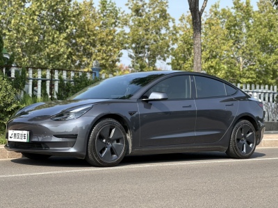 2021年3月 特斯拉 Model 3 標準續(xù)航后驅升級版圖片