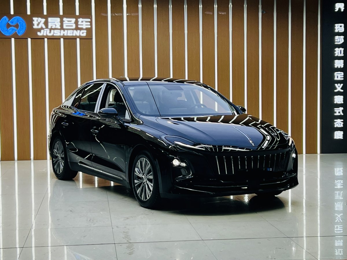 2024年12月紅旗 紅旗E-QM5  2024款 450km 出行版