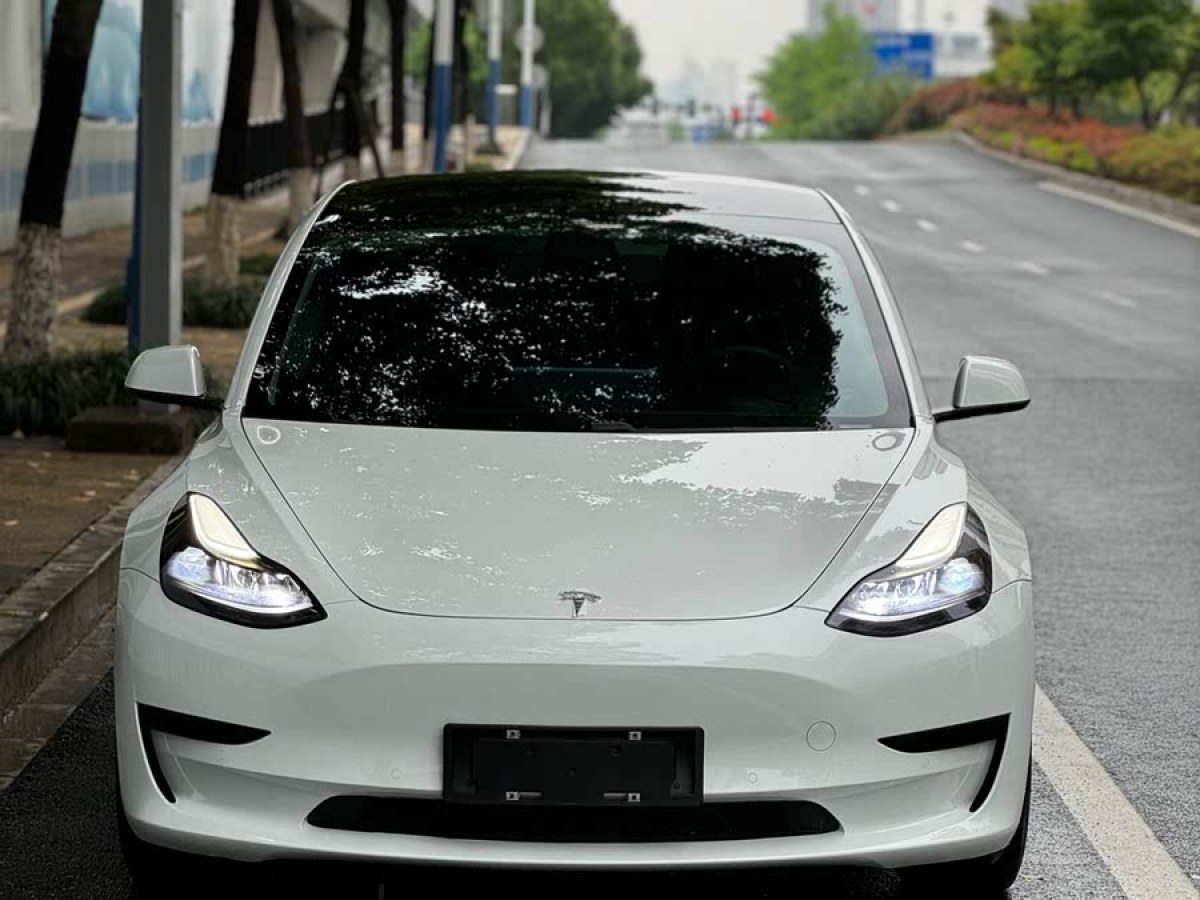 特斯拉 Model 3  2021款 改款 標(biāo)準(zhǔn)續(xù)航后驅(qū)升級版圖片