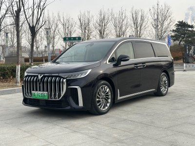 2023年10月 嵐圖 夢想家 PHEV 超長續(xù)航旗艦版圖片