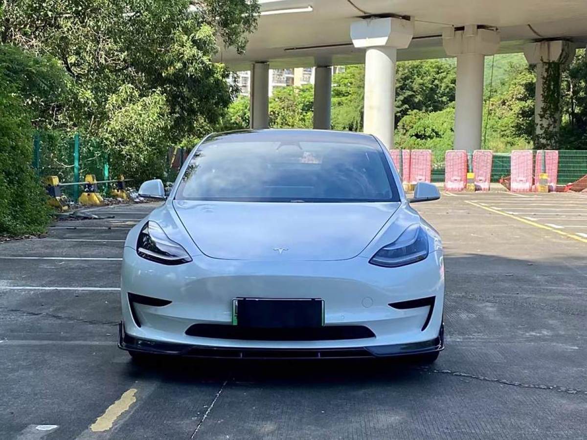 特斯拉 Model Y  2020款 改款 標準續(xù)航后驅(qū)升級版圖片