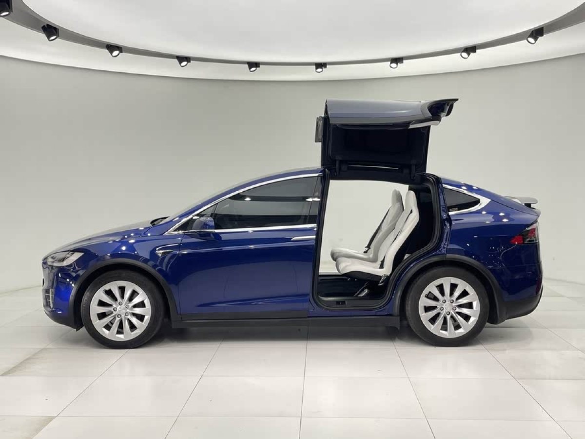 特斯拉 Model X  2017款 Model X 100D 長(zhǎng)續(xù)航版圖片