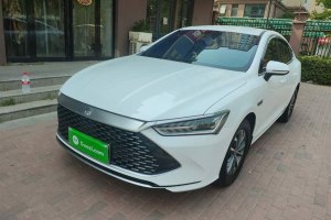 秦PLUS 比亞迪 榮耀版 DM-i 55KM領先型