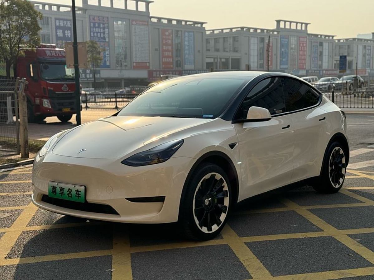 2022年3月特斯拉 Model 3  2022款 后輪驅(qū)動(dòng)版