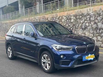 2017年3月 宝马 宝马X1新能源 xDrive25Le图片