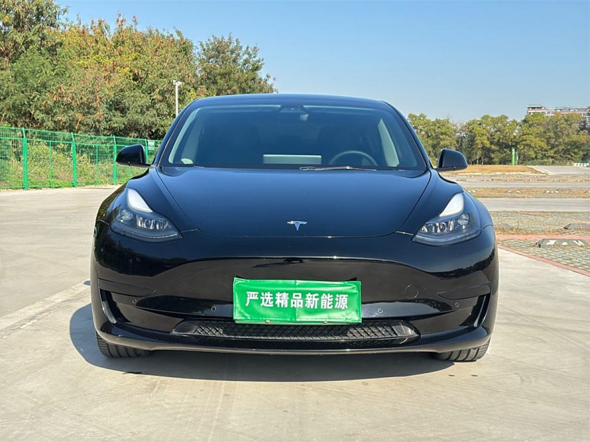 特斯拉 Model 3  2021款 改款 標(biāo)準(zhǔn)續(xù)航后驅(qū)升級(jí)版圖片