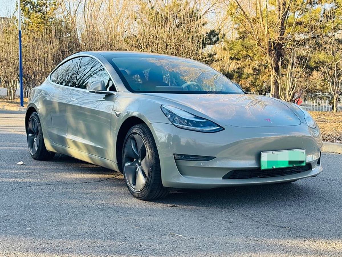 特斯拉 Model 3  2020款 改款 長續(xù)航后輪驅(qū)動版圖片