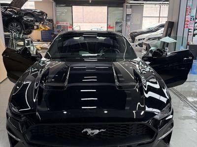 2021年1月 福特 Mustang(進(jìn)口) 2.3L EcoBoost圖片