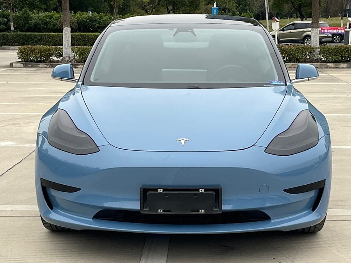 特斯拉 Model 3  2019款 標(biāo)準(zhǔn)續(xù)航后驅(qū)升級版圖片