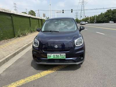2021年6月 零跑 零跑T03 400舒適版圖片