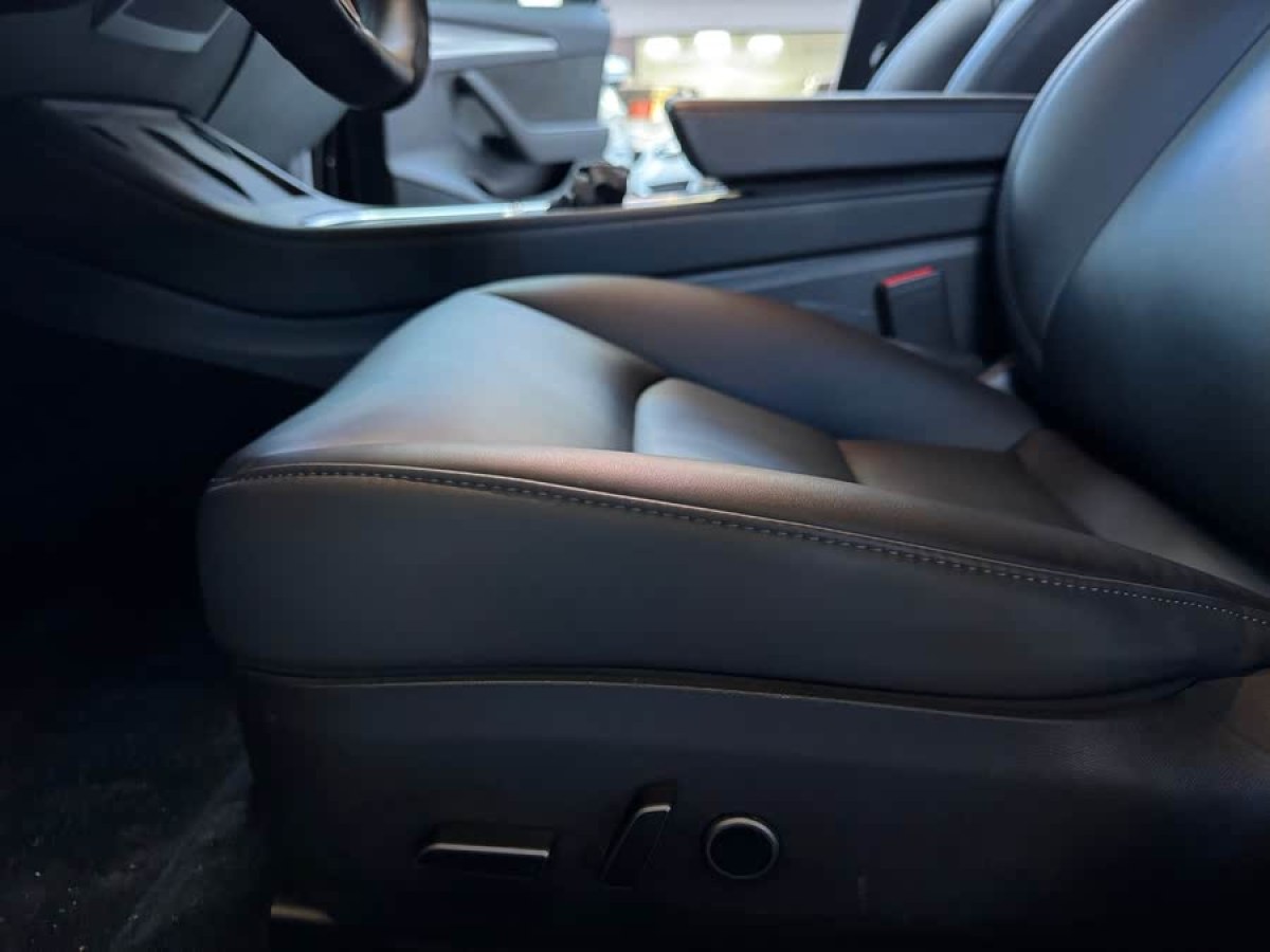 特斯拉 Model 3  2022款 后輪驅(qū)動版圖片