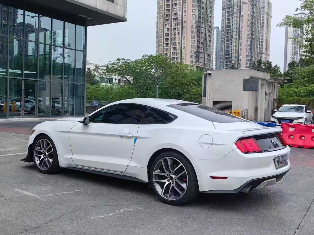 福特 Mustang  2016款 2.3T 性能版圖片