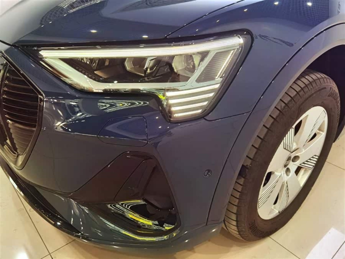 奧迪 奧迪e-tron  2022款 Sportback 55 quattro 豪華型圖片