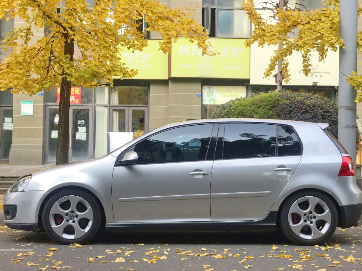 大众 高尔夫  2006款 gti 2 0t 五门版图片