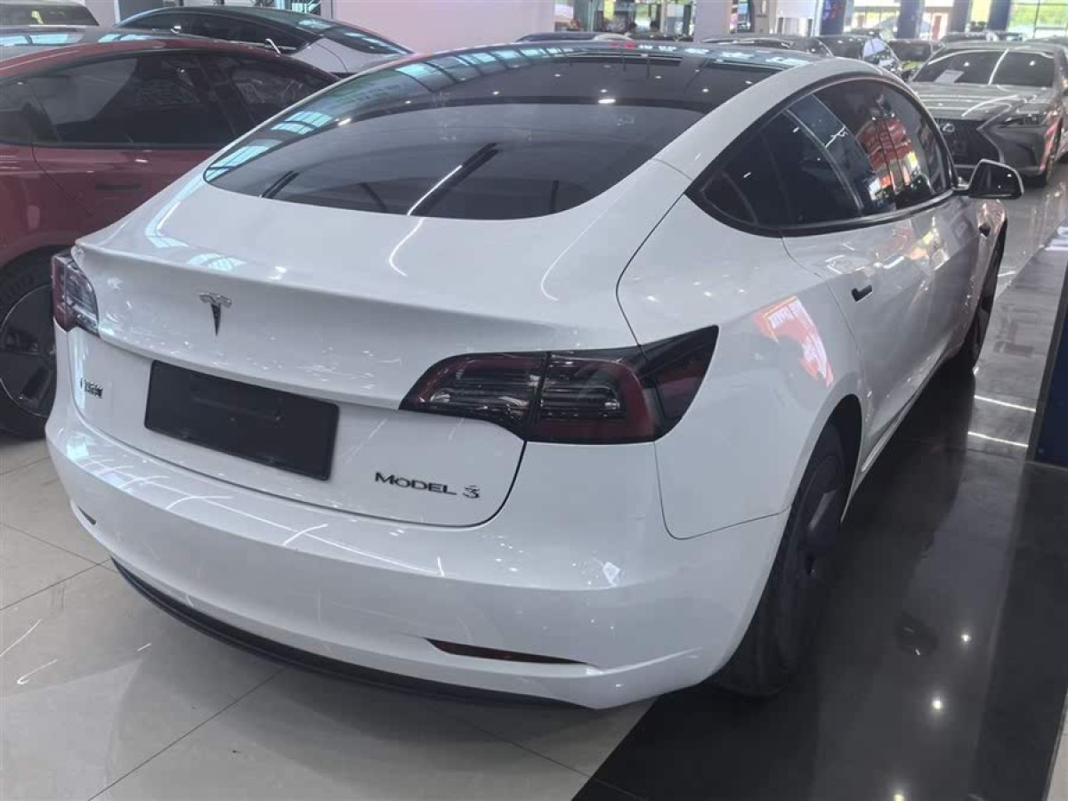 特斯拉 Model 3  2021款 標(biāo)準(zhǔn)續(xù)航后驅(qū)升級(jí)版 3D6圖片