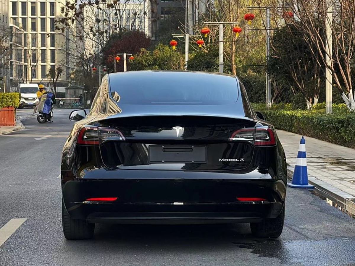 特斯拉 Model 3  2019款 標(biāo)準(zhǔn)續(xù)航后驅(qū)升級(jí)版圖片