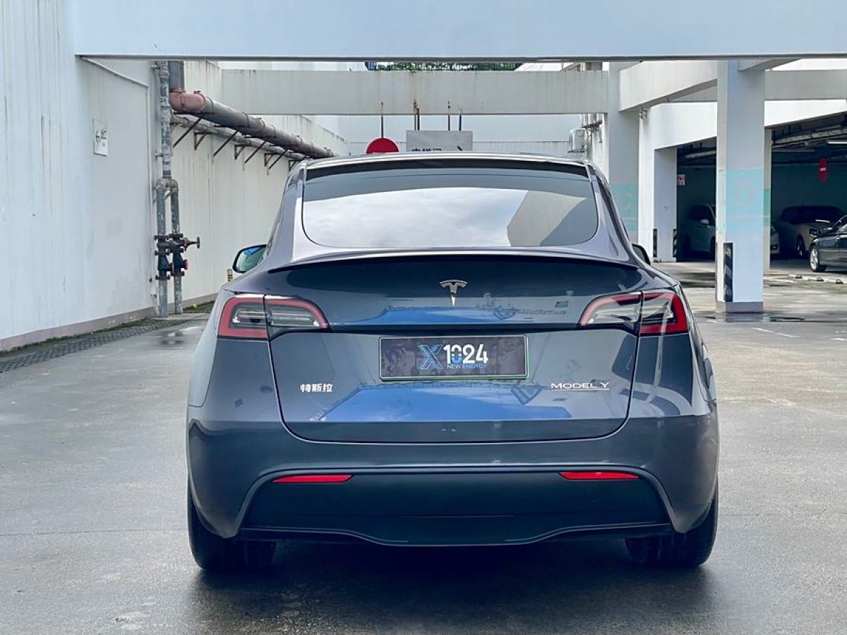 特斯拉 Model Y  2022款 Performance高性能全輪驅(qū)動版圖片