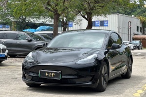 Model 3 特斯拉 改款 標(biāo)準(zhǔn)續(xù)航后驅(qū)升級(jí)版