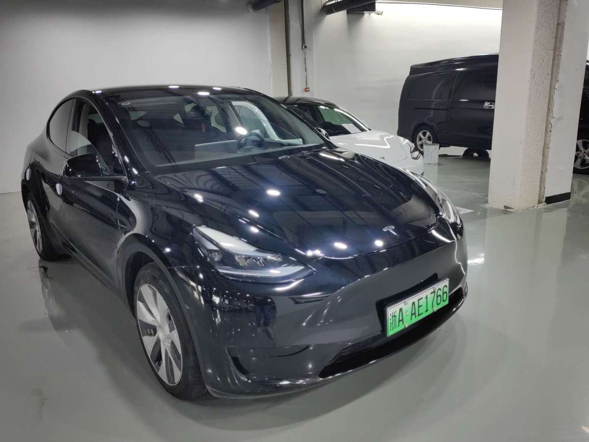 特斯拉 Model Y  2021款 標(biāo)準(zhǔn)續(xù)航后驅(qū)升級版 3D6圖片