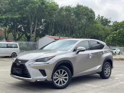 2020年6月 雷克薩斯 NX 200 前驅(qū) 鋒行版 國V圖片