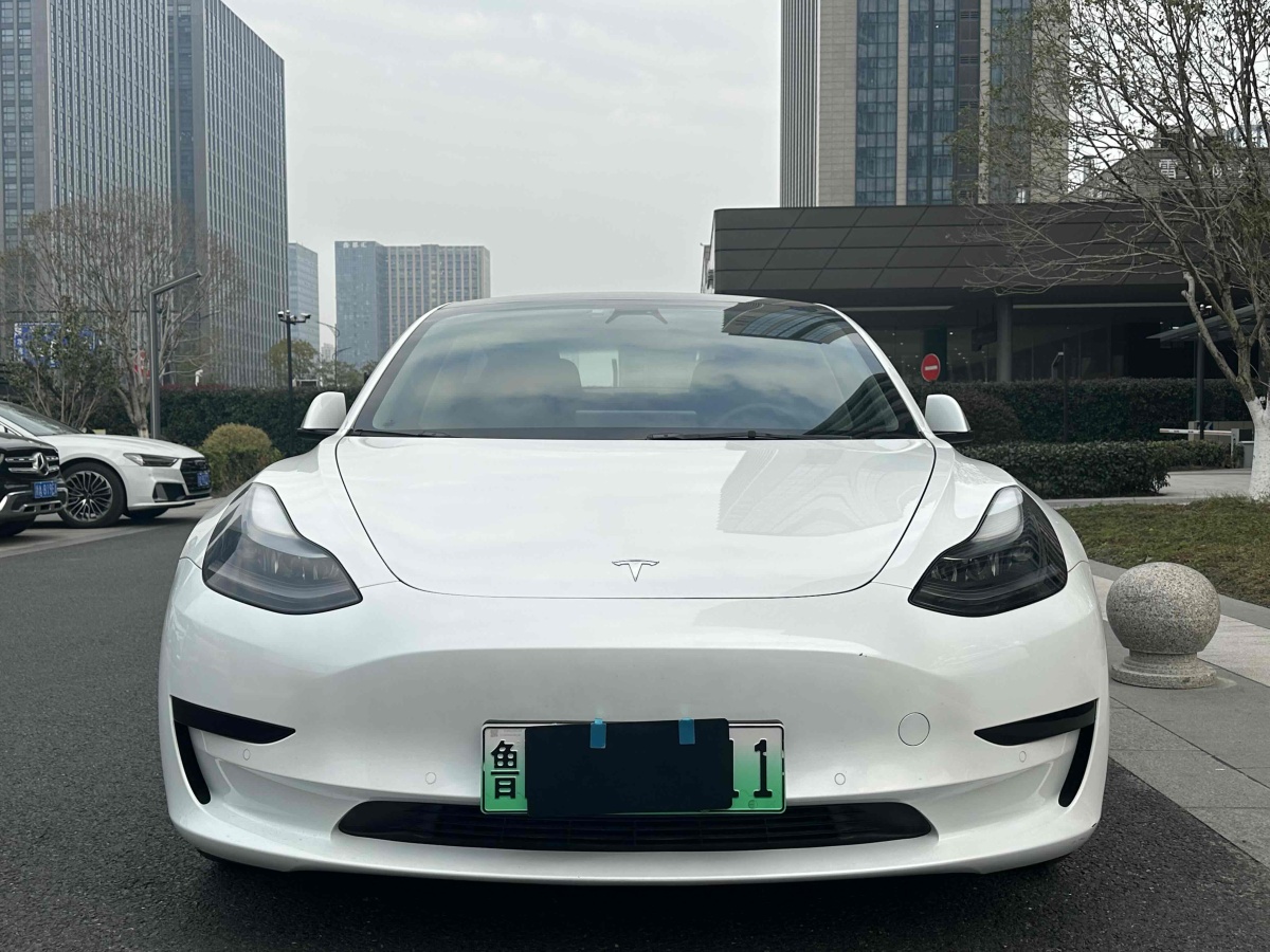 特斯拉 Model 3  2021款 標(biāo)準(zhǔn)續(xù)航后驅(qū)升級版 3D6圖片