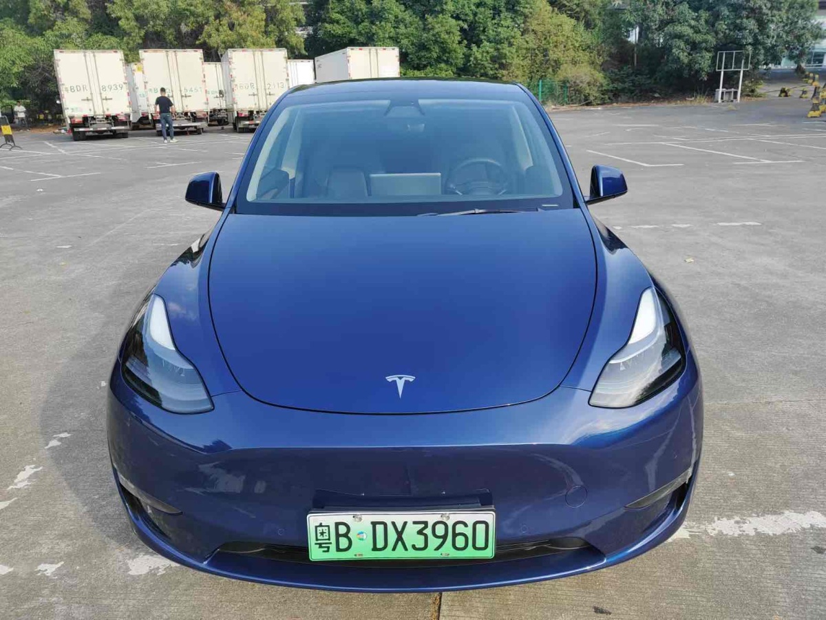 特斯拉 Model Y  2021款 改款 標準續(xù)航后驅(qū)升級版圖片