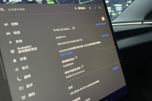 Model 3 特斯拉 