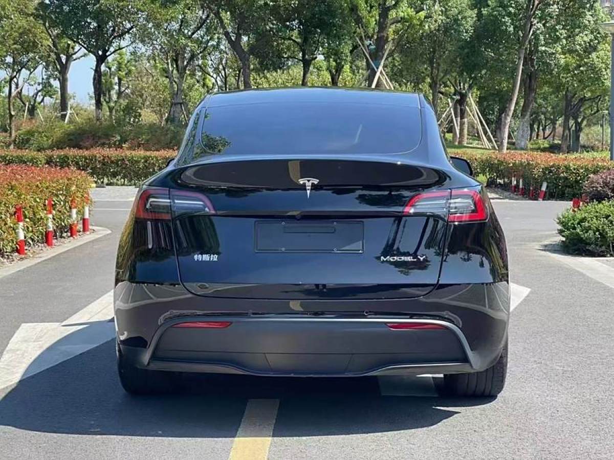 特斯拉 Model Y  2021款 改款 標準續(xù)航后驅(qū)升級版圖片