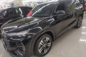 奧迪Q6 奧迪 50 TFSI quattro 行云型 飛騎套裝 6座