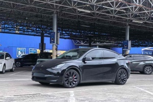 Model Y 特斯拉 Performance高性能全轮驱动版