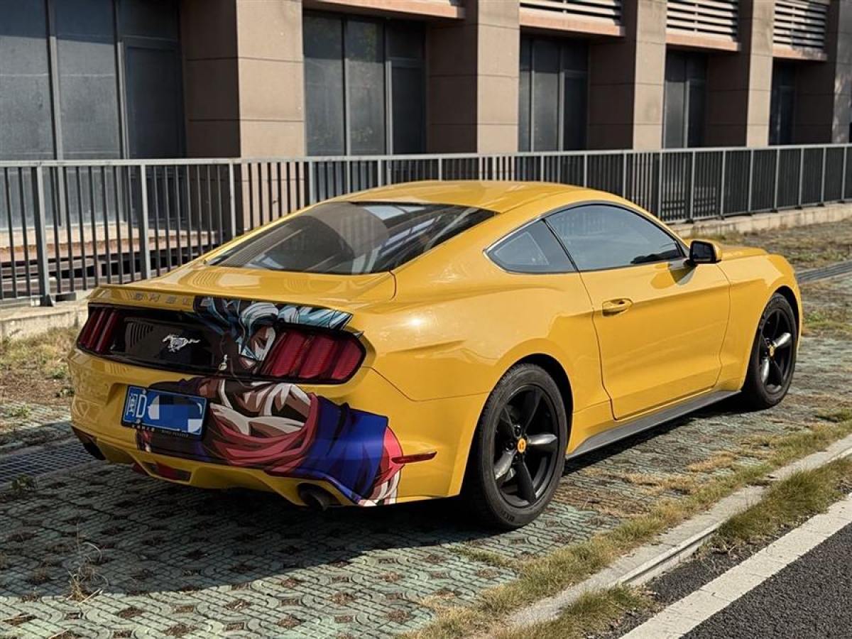 福特 Mustang  2015款 2.3T 50周年紀念版圖片