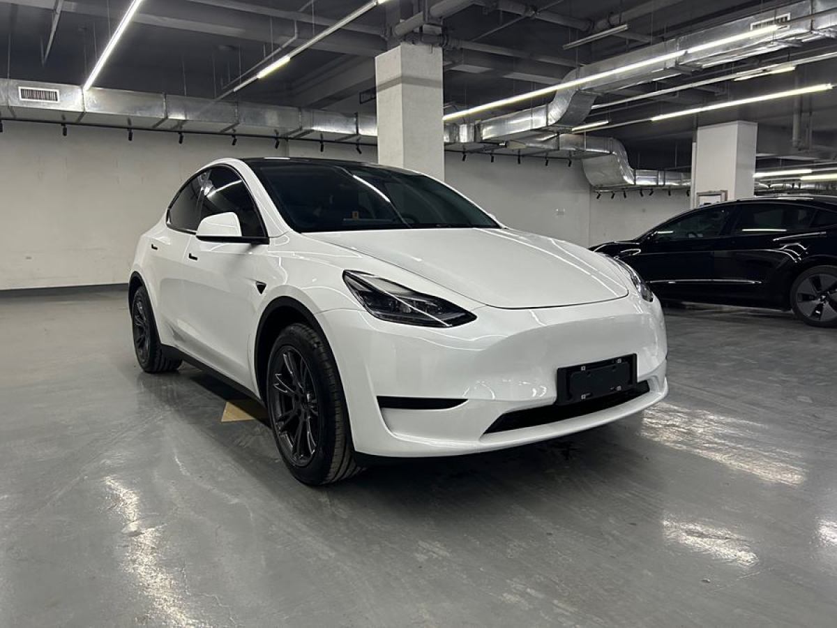 特斯拉 Model 3  2020款 改款 長(zhǎng)續(xù)航后輪驅(qū)動(dòng)版圖片