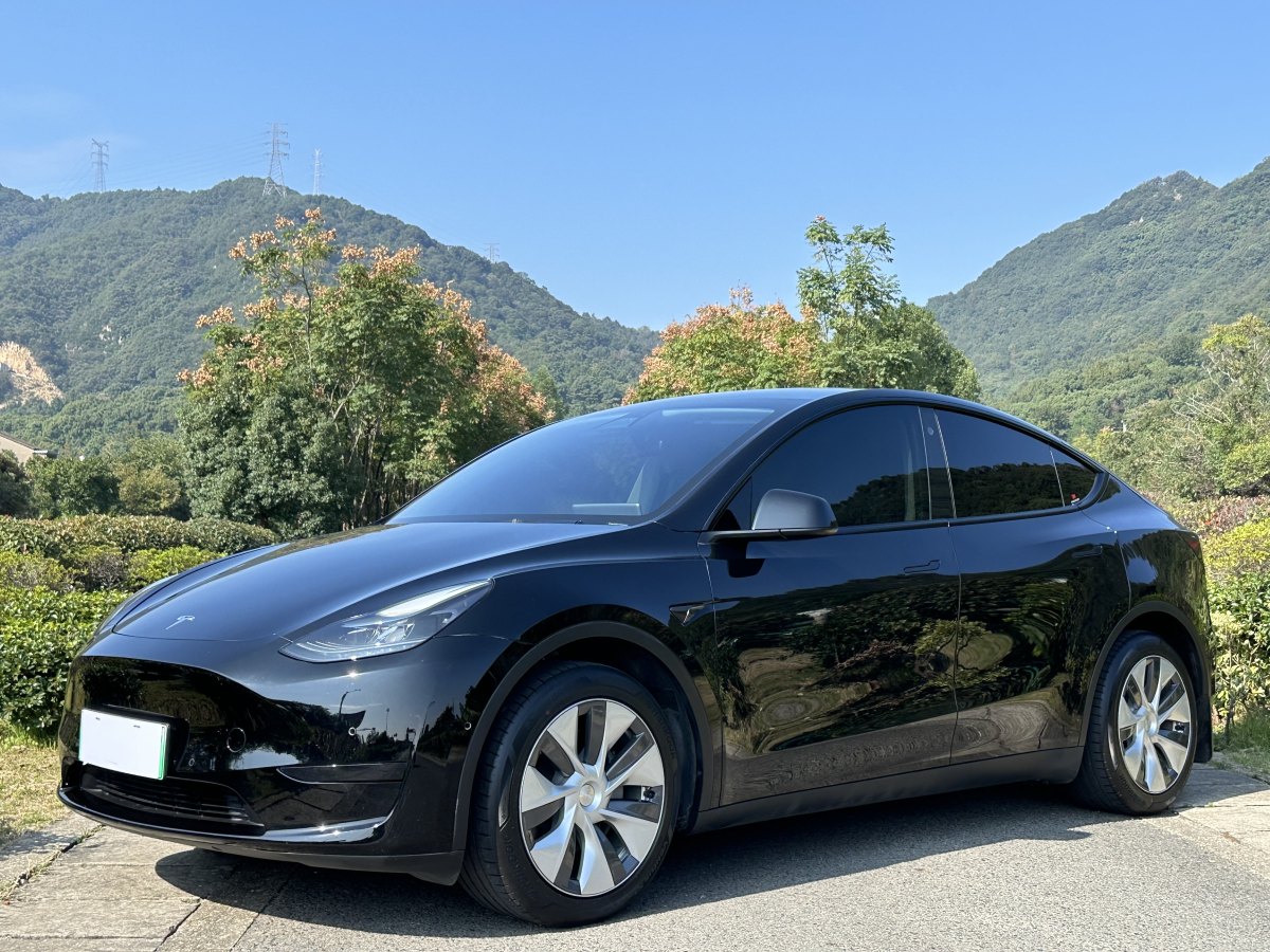 特斯拉 Model Y  2022款 后輪驅(qū)動版圖片