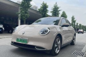 歐拉好貓 歐拉 莫蘭迪版 400km標準續(xù)航 豪華型 磷酸鐵鋰