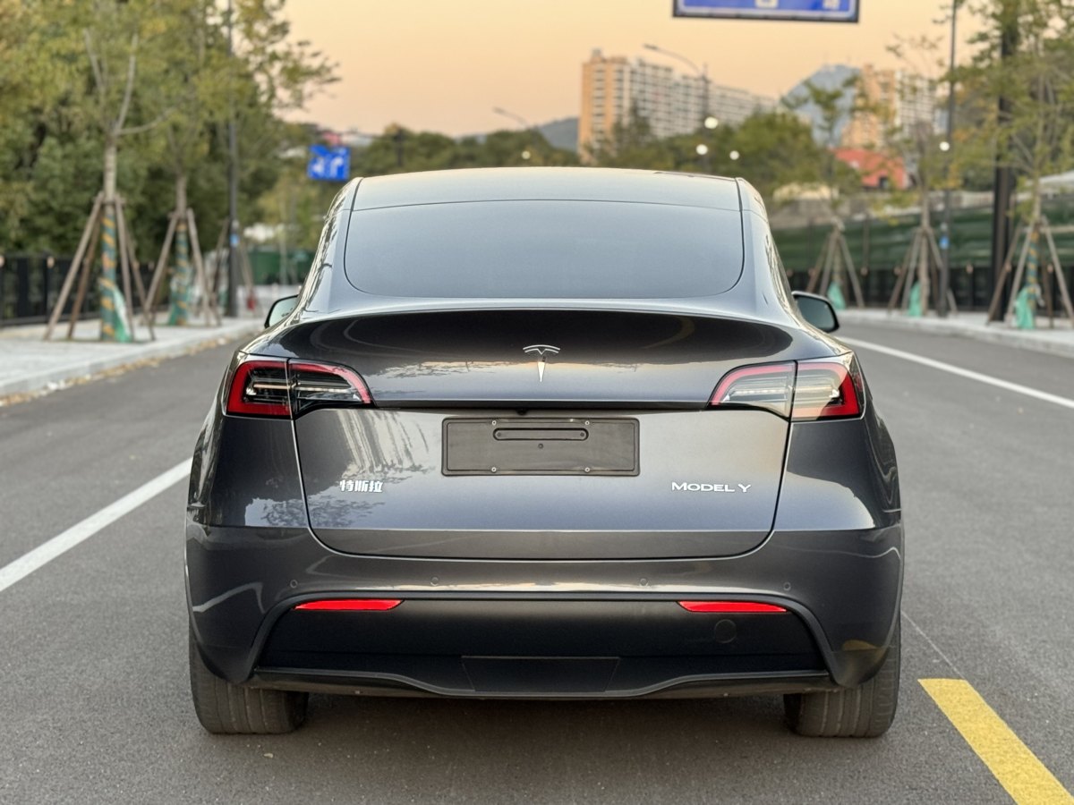 特斯拉 Model 3  2021款 改款 標準續(xù)航后驅(qū)升級版圖片